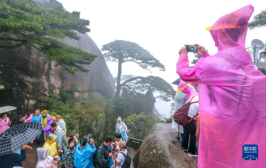 永利贵宾会吧
